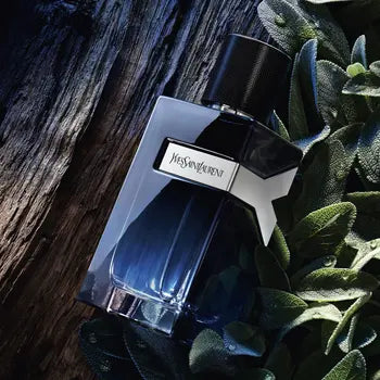 YSL eau de parfum - בושם בהשראת